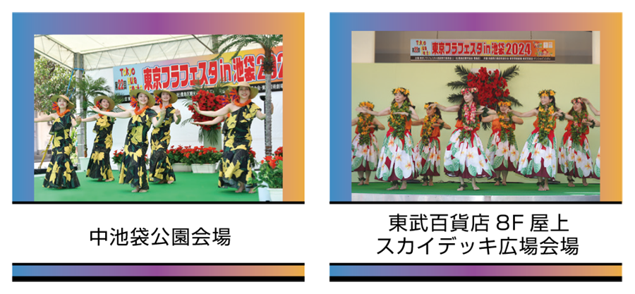 会場
